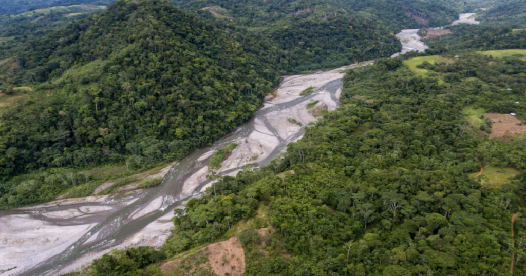 La Amazonía que trabaja y produce: desarrollo con identidad y dignidad