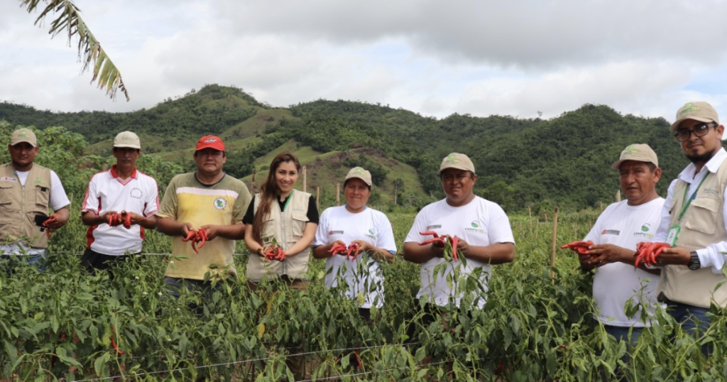 El campo que sostiene al país: defender al agricultor amazónico es defender a San Martín