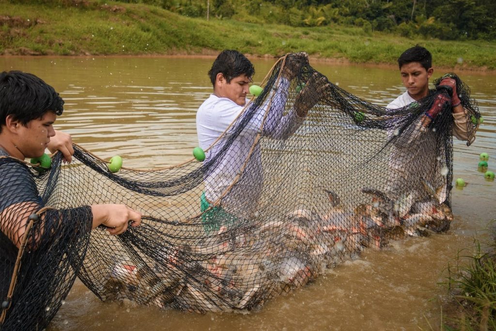 Más que paredes, veo niños y la educación que merecen. San Martín es una tierra que siente, produce y desarrolla su futuro con identidad y dignidad.